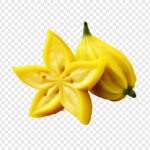 Starfruit
