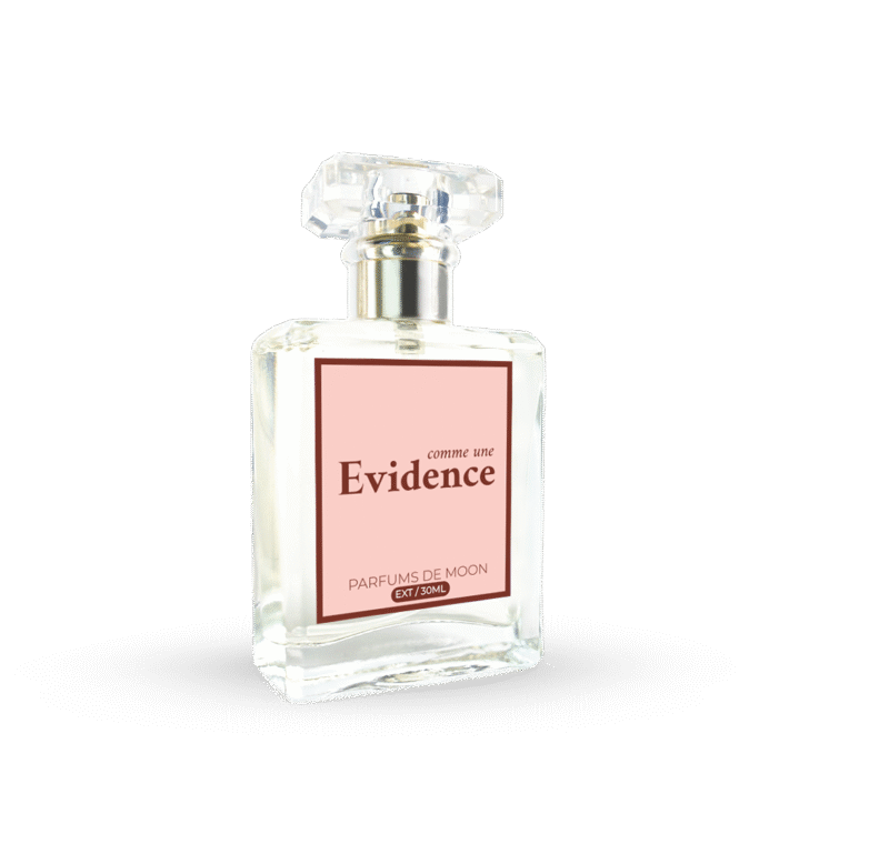 L'Evidence - Image 3