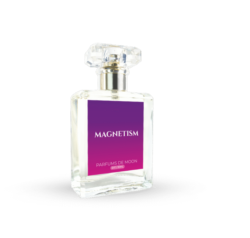 magnetism - Image 2