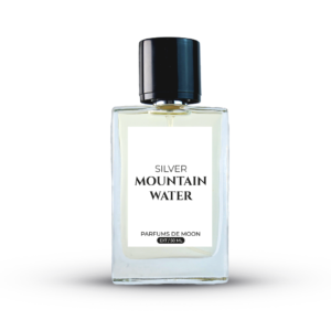 Silver Mountain Water