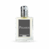 Pegasus - Image 2