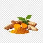 Ginger