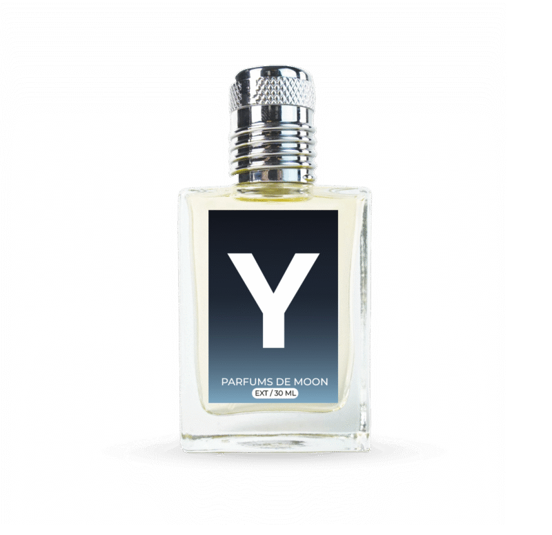 Y - Image 3
