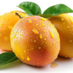 Alphonso Mango