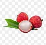 Litchi