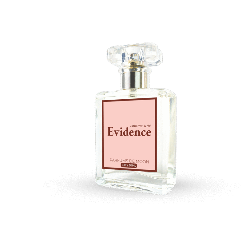 L'Evidence - Image 2