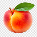 Peach