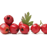 Hawthorn
