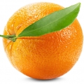 Blood Orange