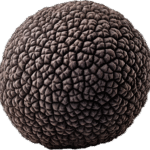 Black Truffle