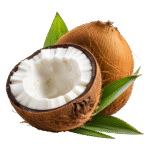 Coconut