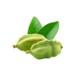 Cardamom