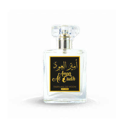 Ameer Al Oudh
