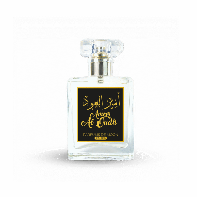 Ameer Al Oudh