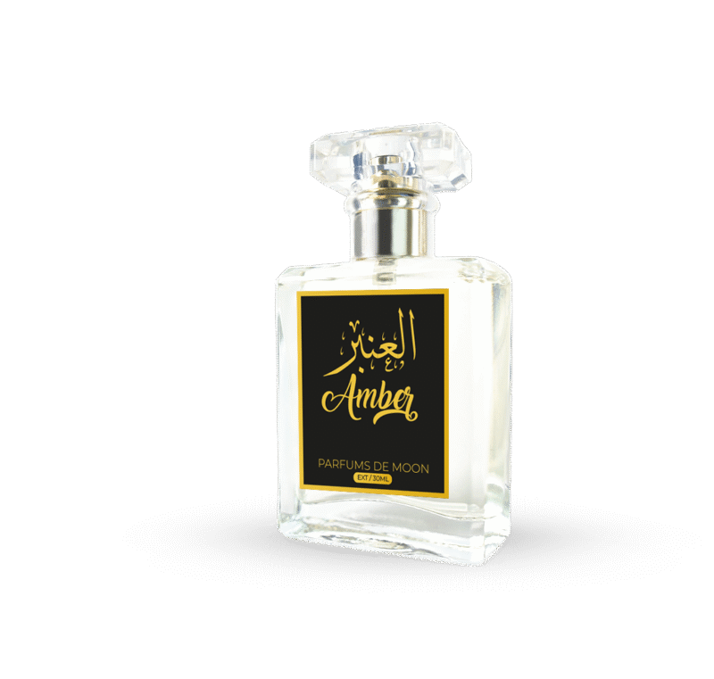 Amber - Image 3