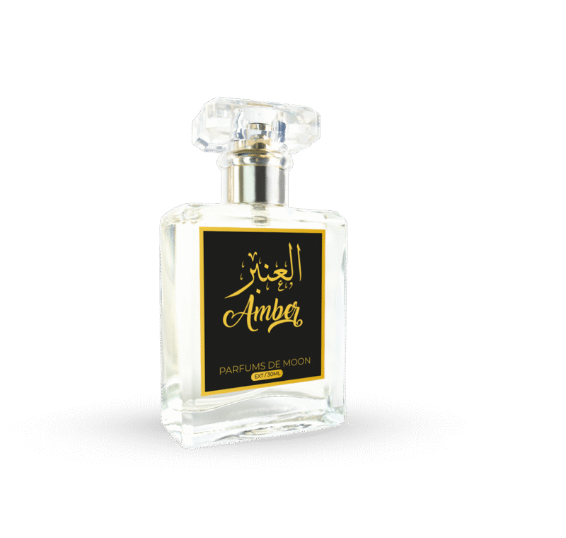 Amber - Image 2