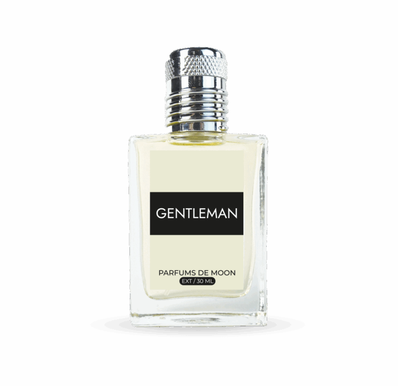 Gentleman (2017) - Image 2