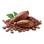 Cocoa