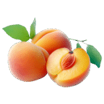 Apricot