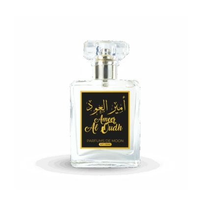 Ameer Al Oudh
