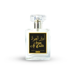 Ameer Al Oudh