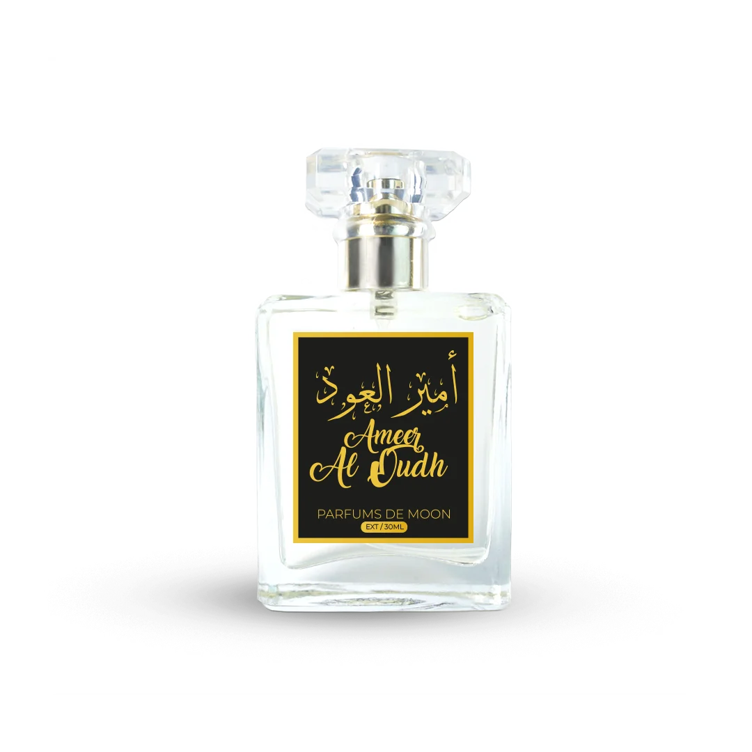Ameer Al Oudh
