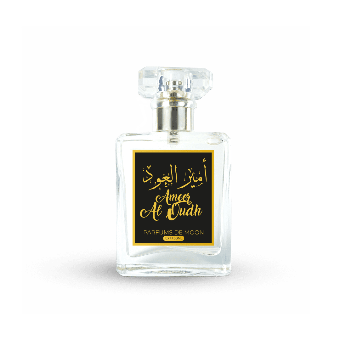 Ameer Al Oudh